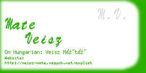 mate veisz business card